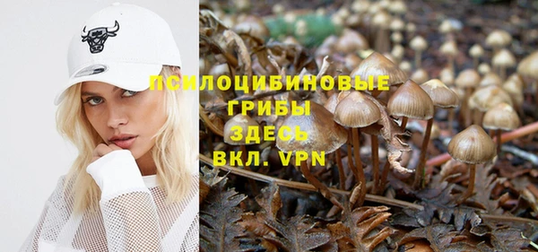 спайс Алзамай