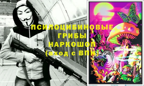 спиды Алексеевка