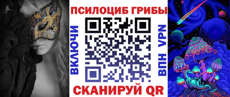 Псилоцибиновые грибы GOLDEN TEACHER  сайты даркнета какой сайт  Куровское 
